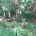 Bed and breakfast L'amandaure