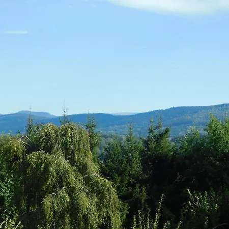 L'amandaure *