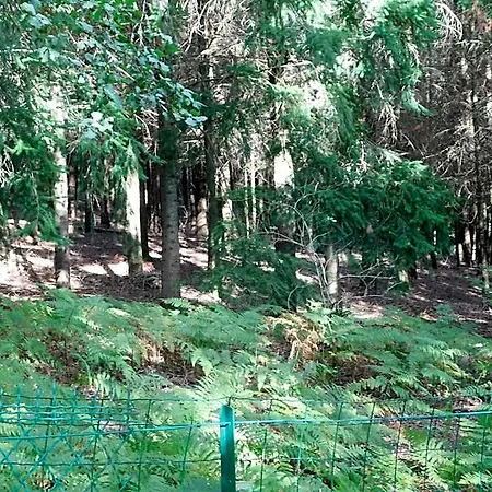 Frühstückspension L'amandaure Saulcy-sur-Meurthe